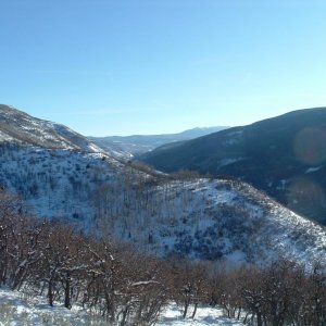 DSCF1098