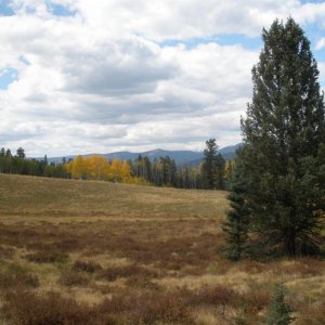 P9290185