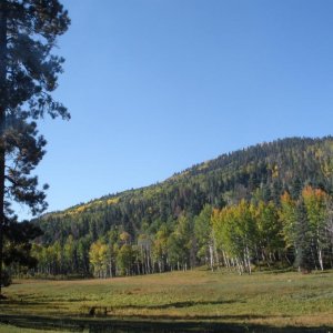 P9290168