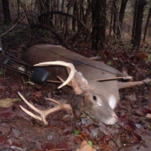 Longbow and Buck