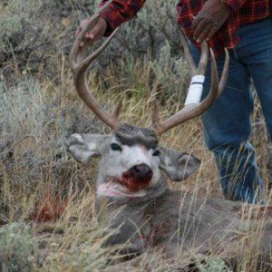 Pop's Nevada 2011 Rifle