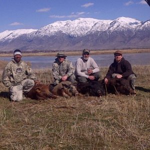 Bow Hunt 2012 Utah