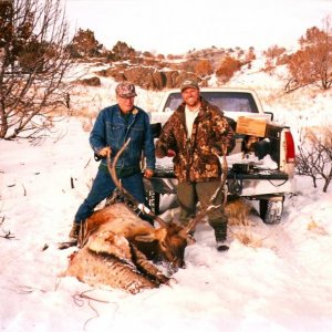 Dads Bull 2