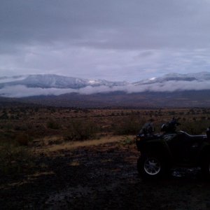 IMAG0061