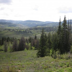 Yellowstone Hills