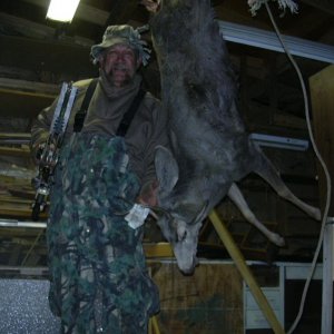 deer1