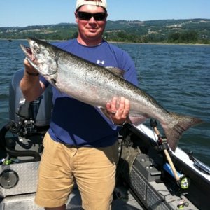 Columbia River Salmon