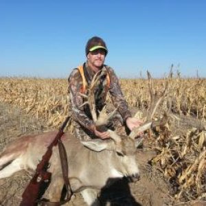 2012 muzzleload buck,  corn fed