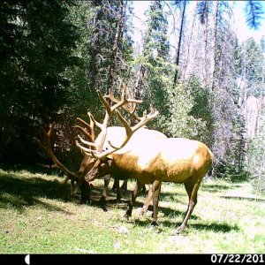 HUNT0429