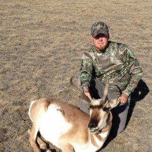 My first antelope.