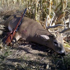 Dads muzzleload whitetail