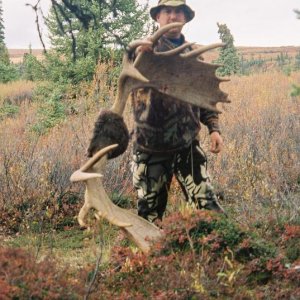 2006 moose