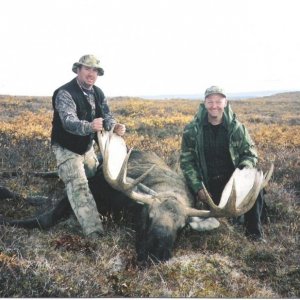 moose2006 004