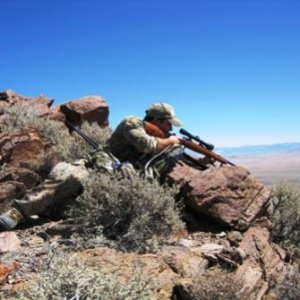 Northern NV Chase!