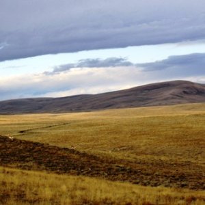WY Landscape, beautiful!