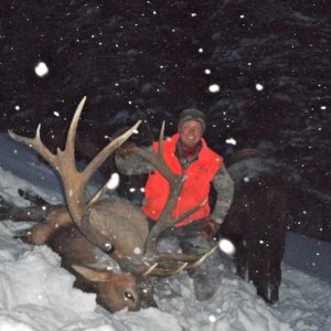 2010 Bull. 348" OTC