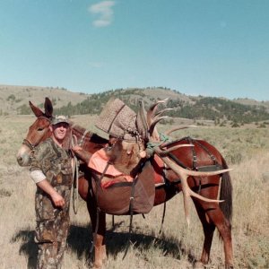 IMG015