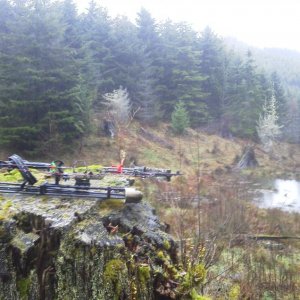 Picnic spot