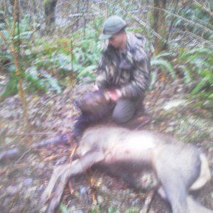 My 2012 archery elk