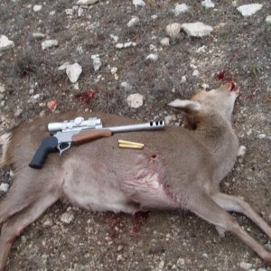 2012 -Sika Doe SSK Encore 470 Nitro Express Pistol-400 gr. cast bullet-56 yards.