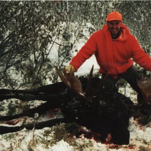 Moose 4http://www.eastmans.com/forum/album.php?albumid=240&attachmentid=6011