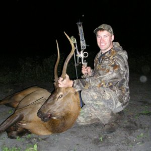 Archery Elk 9 200http://www.eastmans.com/forum/album.php?albumid=240&attachmentid=60184