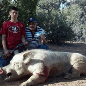 600lbs