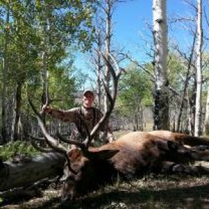 Matthew and my 2013 bull