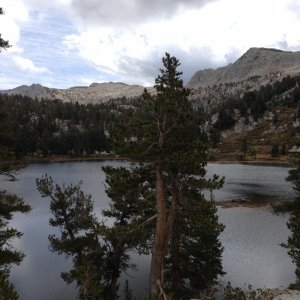 IMG 4774