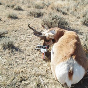 2007 Wyoming 25 Bullberry RPM