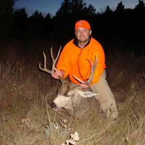 2013 ND mule deer