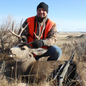 2011 Montana buck