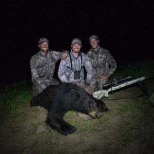 2013 Idaho Bear