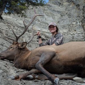 The wife's 2013 Archery Elk