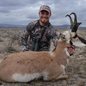 2013 Antelope