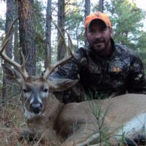 8pt