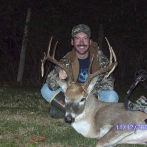 11 pt