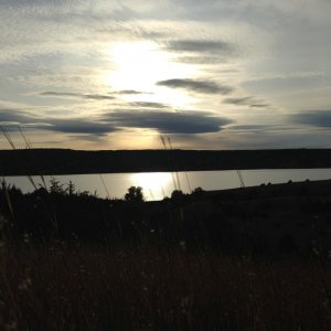 IMG 0218
