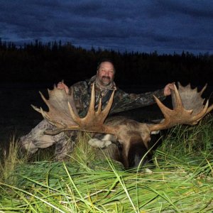 2012 Alaska Moose