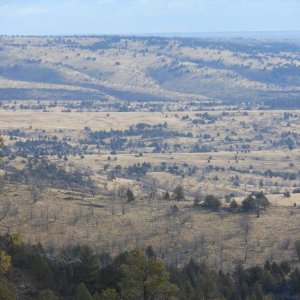 Idaho hunt 12 007