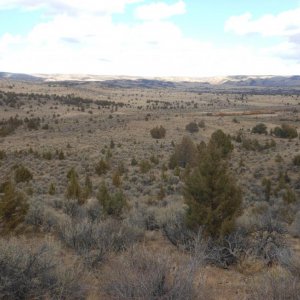 Idaho hunt 12 020