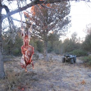 Idaho hunt 12 056