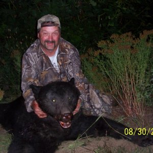 2008 OR Black Bear