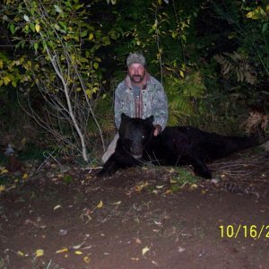 2006 OR Black Bear