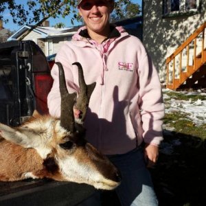 antelope 6