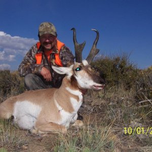 08 WY Antelope