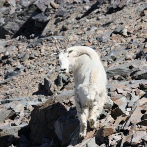 IMG 0877