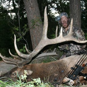 333 gross Idaho
