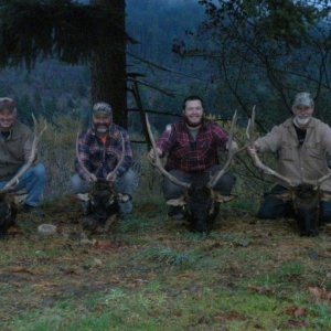 2013 OR Elk (group)