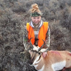 2013 WY Antelope (Shelby)